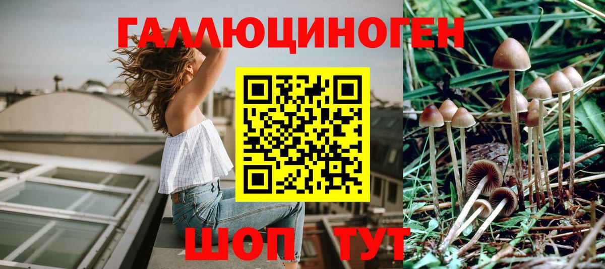 Михайловск  Галлюциногенные грибы мухоморы  Вход с VPN 