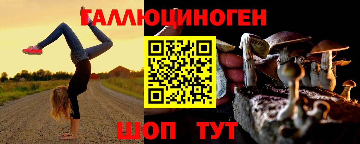 Псилоцибиновые грибы Psilocybine cubensis Михайловск
